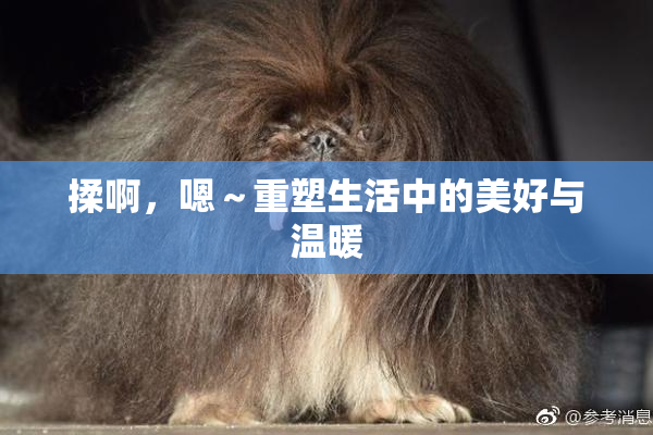 揉啊，嗯～重塑生活中的美好与温暖