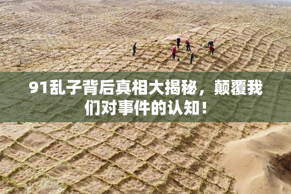 91乱子背后真相大揭秘，颠覆我们对事件的认知！