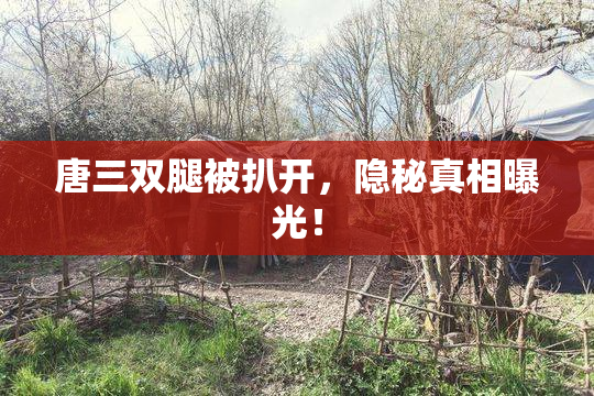 唐三双腿被扒开，隐秘真相曝光！