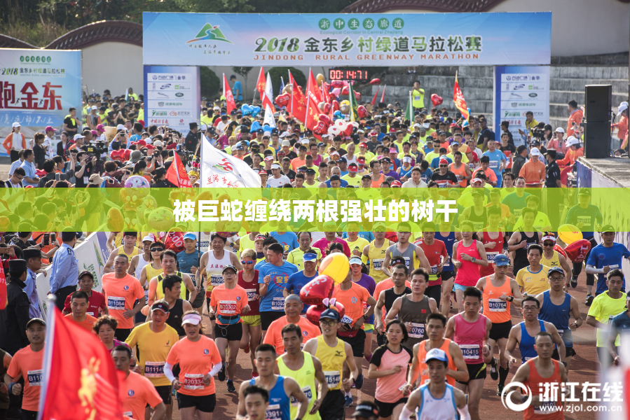 被巨蛇缠绕两根强壮的树干
