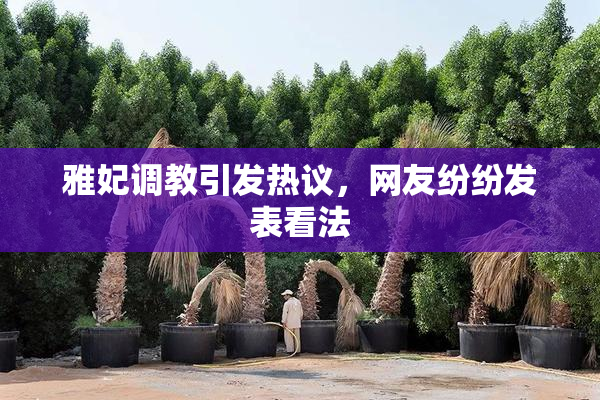 雅妃调教引发热议，网友纷纷发表看法