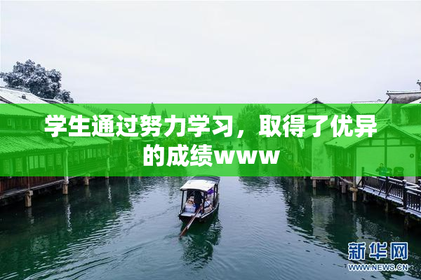 学生通过努力学习，取得了优异的成绩www