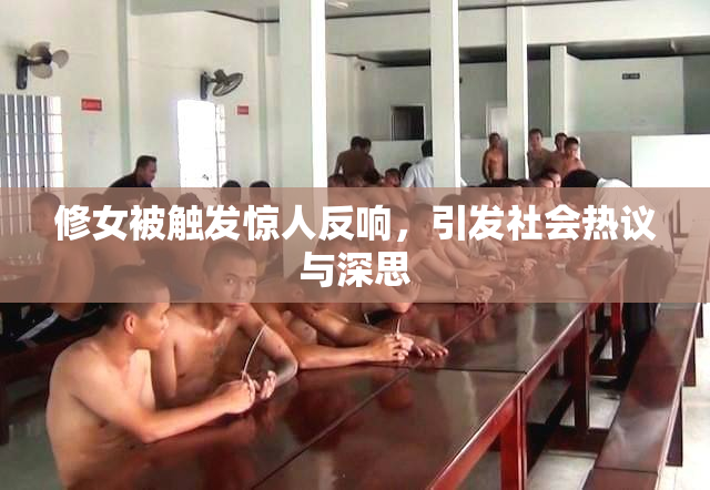 修女被触发惊人反响，引发社会热议与深思
