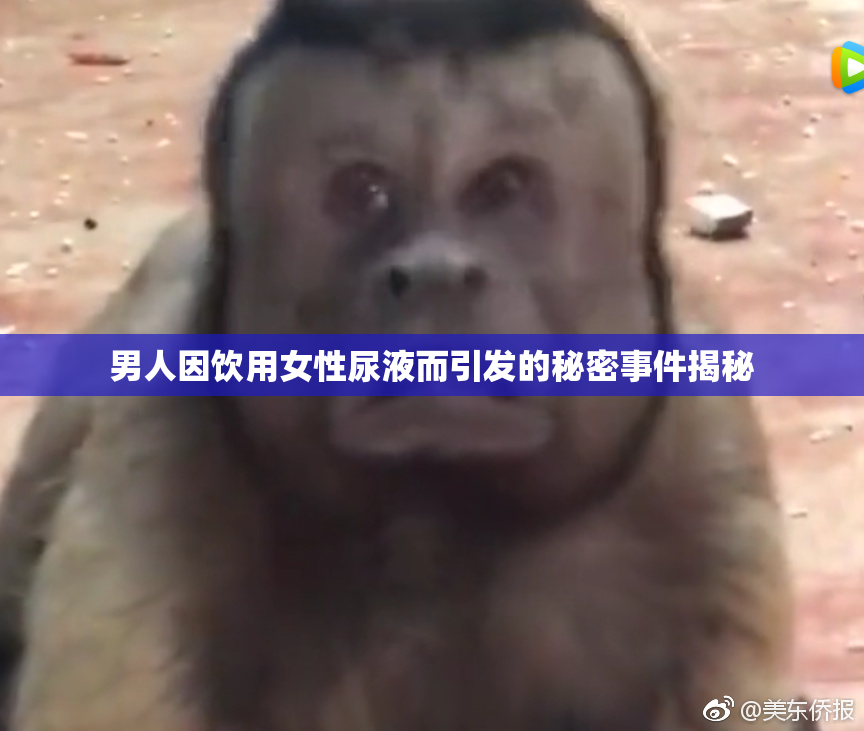 男人因饮用女性尿液而引发的秘密事件揭秘