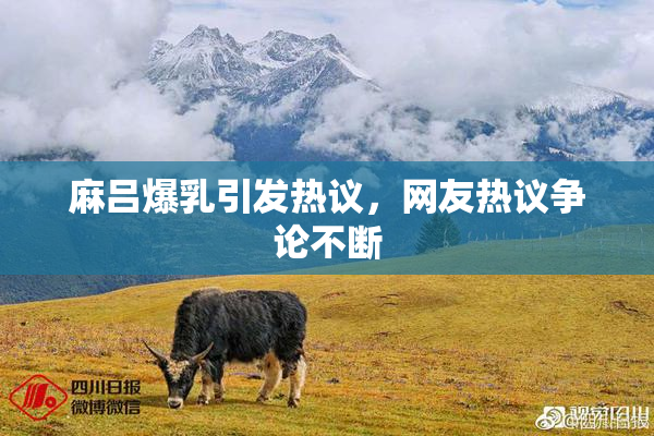 麻吕爆乳引发热议，网友热议争论不断