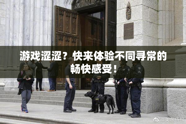 游戏涩涩？快来体验不同寻常的畅快感受！