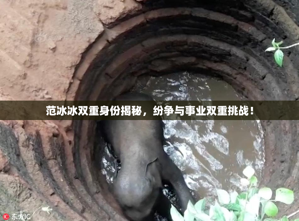 范冰冰双重身份揭秘，纷争与事业双重挑战！