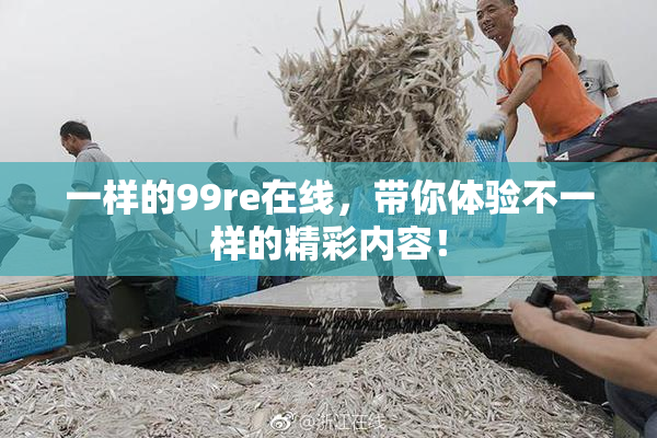 一样的99re在线，带你体验不一样的精彩内容！