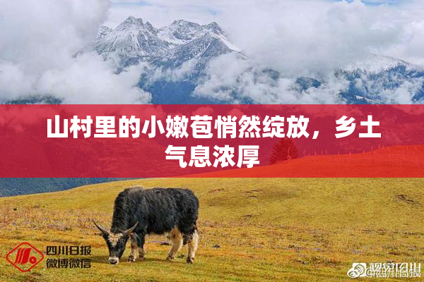 山村里的小嫩苞悄然绽放，乡土气息浓厚