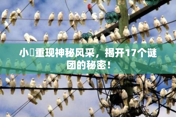 小泬重现神秘风采，揭开17个谜团的秘密！