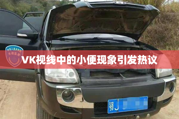 VK视线中的小便现象引发热议