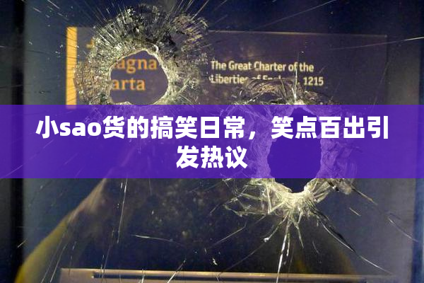小sao货的搞笑日常，笑点百出引发热议