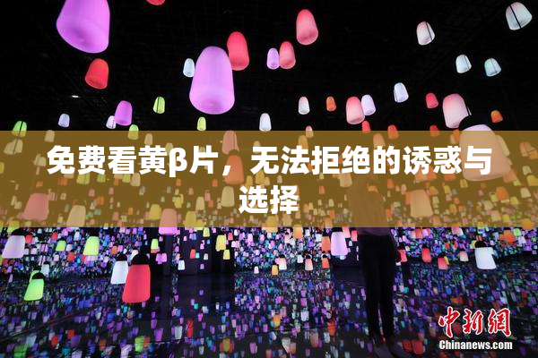免费看黄β片，无法拒绝的诱惑与选择