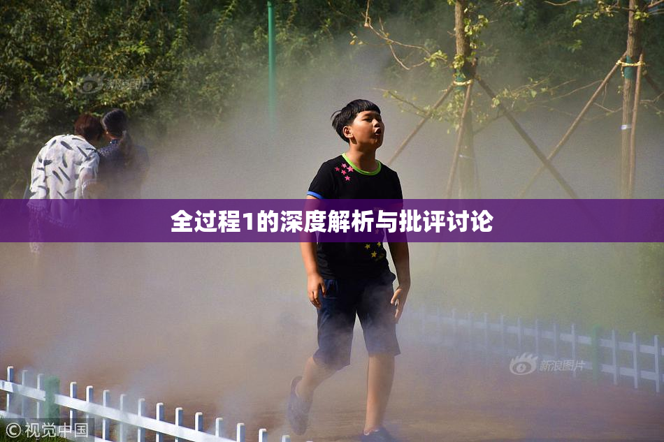 全过程1的深度解析与批评讨论