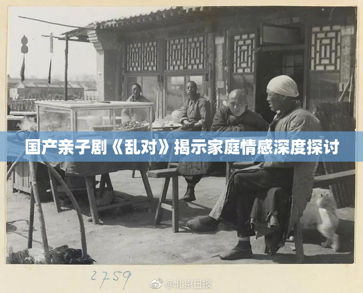 国产亲子剧《乱对》揭示家庭情感深度探讨