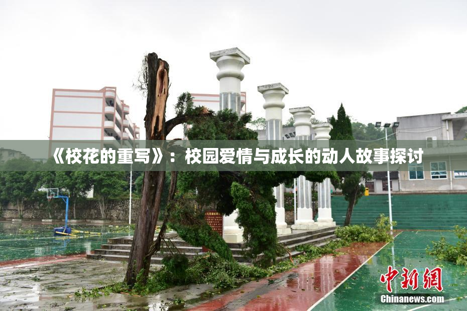 《校花的重写》：校园爱情与成长的动人故事探讨