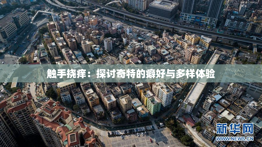 触手挠痒：探讨奇特的癖好与多样体验