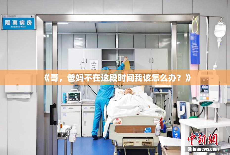 《哥，爸妈不在这段时间我该怎么办？》