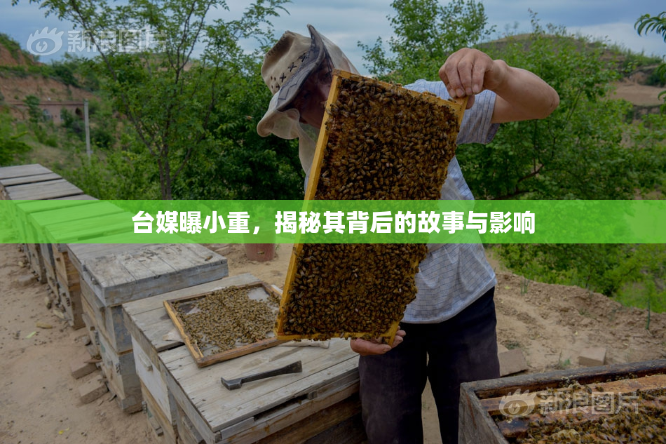 台媒曝小重，揭秘其背后的故事与影响