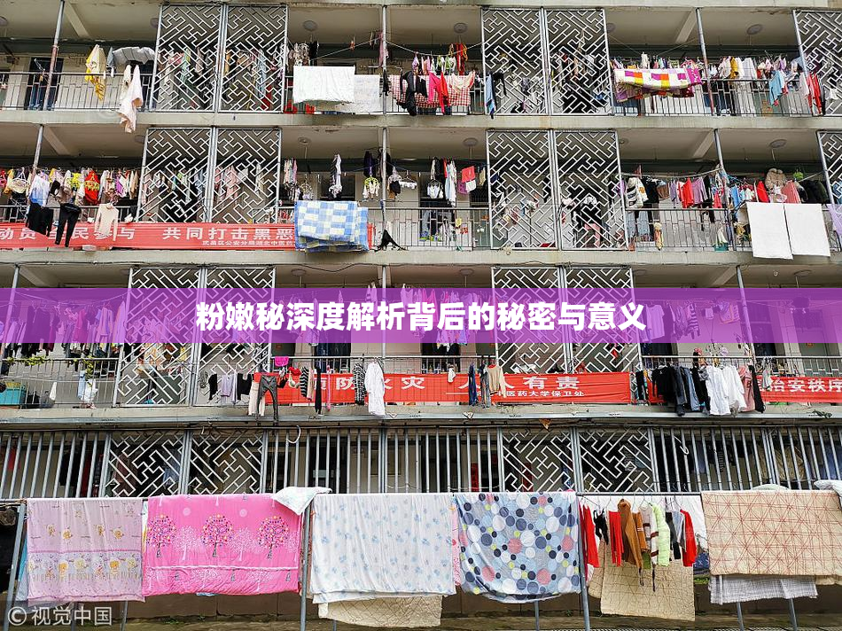 粉嫩秘深度解析背后的秘密与意义