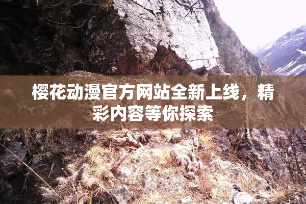 樱花动漫官方网站全新上线，精彩内容等你探索