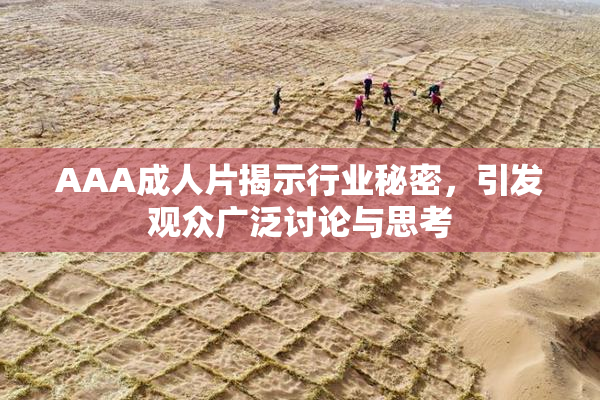AAA成人片揭示行业秘密，引发观众广泛讨论与思考