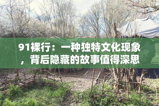 91裸行：一种独特文化现象，背后隐藏的故事值得深思