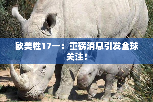 欧美牲17一：重磅消息引发全球关注！