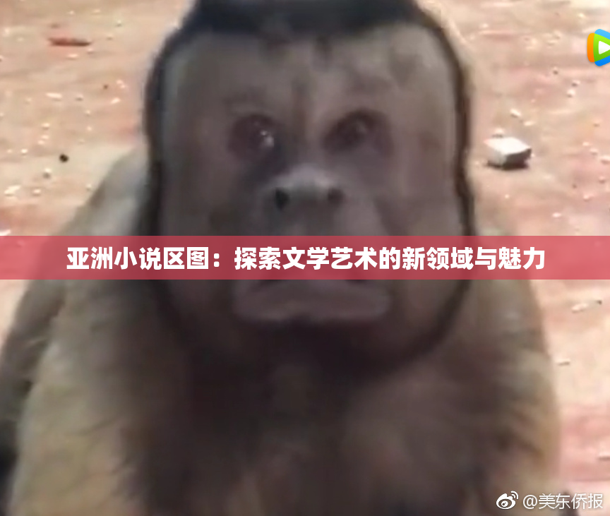 亚洲小说区图：探索文学艺术的新领域与魅力