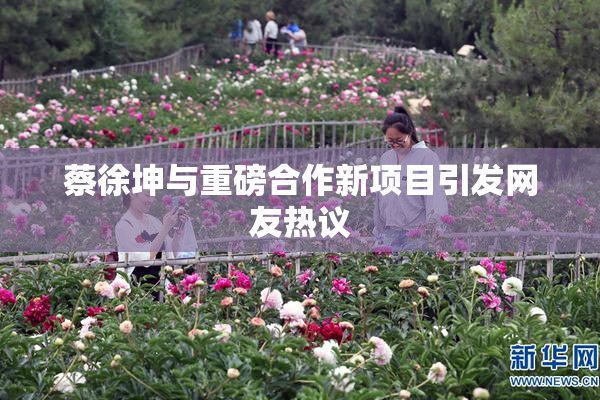 蔡徐坤与重磅合作新项目引发网友热议