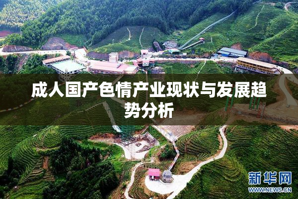 成人国产色情产业现状与发展趋势分析