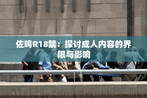 佐鸣R18禁：探讨成人内容的界限与影响