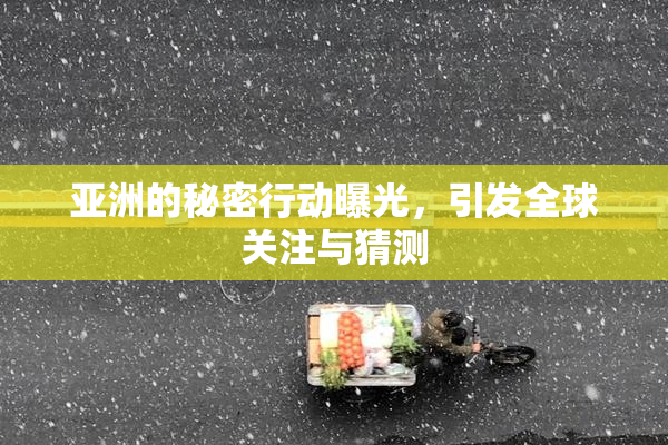 亚洲的秘密行动曝光，引发全球关注与猜测