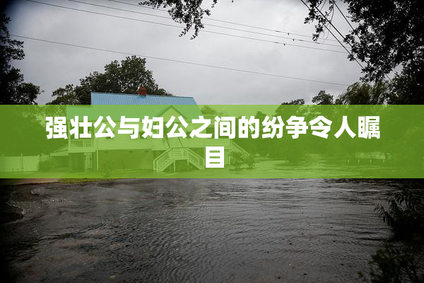 强壮公与妇公之间的纷争令人瞩目