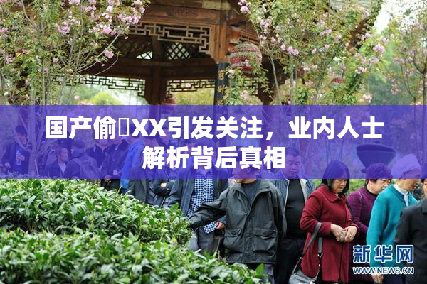 国产偷抇XX引发关注，业内人士解析背后真相