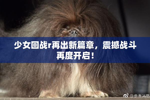 少女回战r再出新篇章，震撼战斗再度开启！