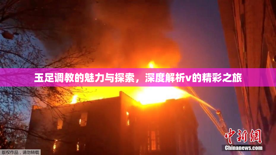 玉足调教的魅力与探索，深度解析v的精彩之旅