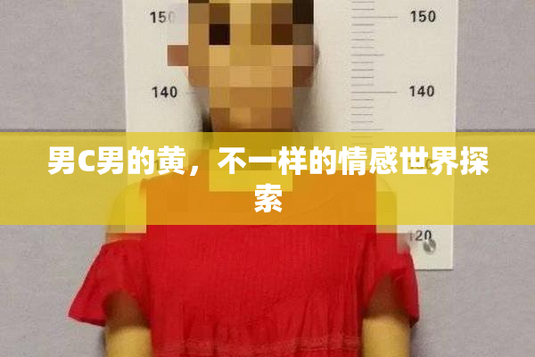 男C男的黄，不一样的情感世界探索