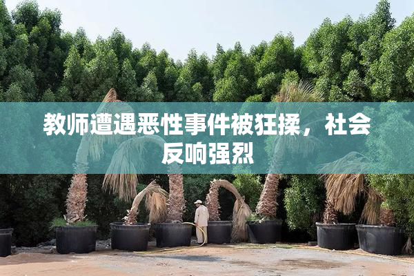 教师遭遇恶性事件被狂揉，社会反响强烈