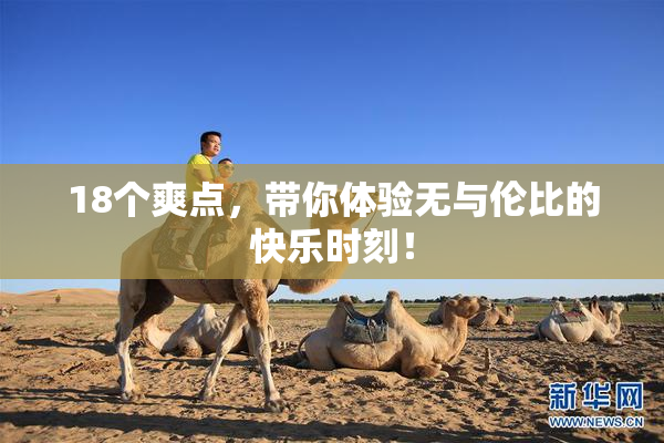 18个爽点，带你体验无与伦比的快乐时刻！