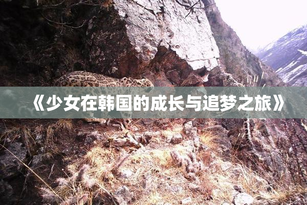 《少女在韩国的成长与追梦之旅》