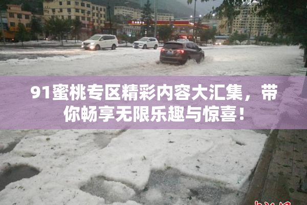 91蜜桃专区精彩内容大汇集，带你畅享无限乐趣与惊喜！