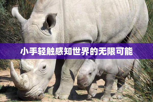 小手轻触感知世界的无限可能