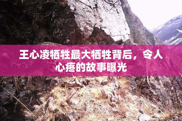 王心凌牺牲最大牺牲背后，令人心疼的故事曝光