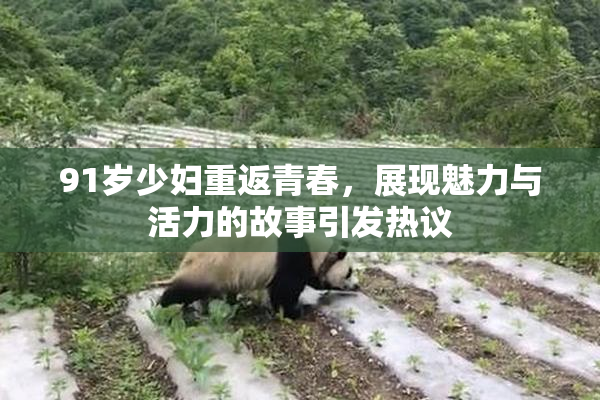 91岁少妇重返青春，展现魅力与活力的故事引发热议