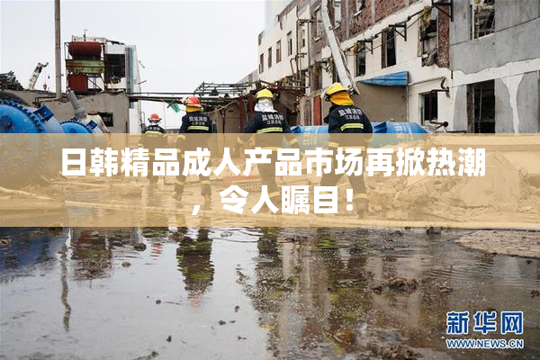 日韩精品成人产品市场再掀热潮，令人瞩目！