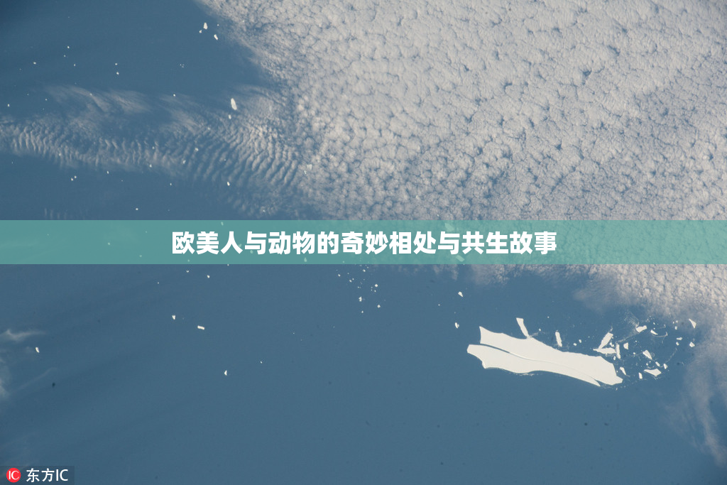 欧美人与动物的奇妙相处与共生故事