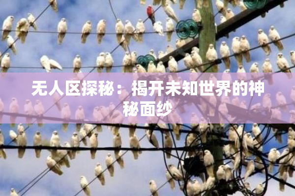 无人区探秘：揭开未知世界的神秘面纱