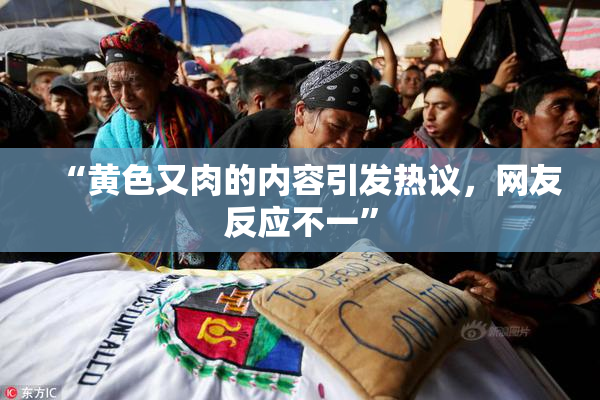 “黄色又肉的内容引发热议，网友反应不一”