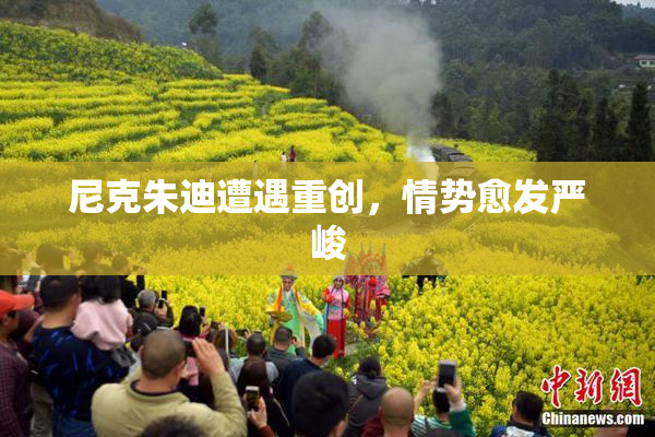 尼克朱迪遭遇重创，情势愈发严峻